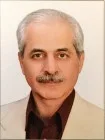 تصویر سیدامیر کرمی نژاد