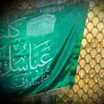 تصویر سیدامیرمحمد صادقی پور